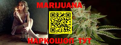 индика Лесосибирск