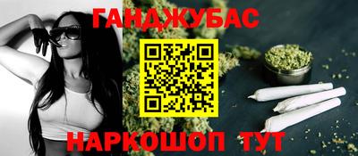 индика Лесосибирск
