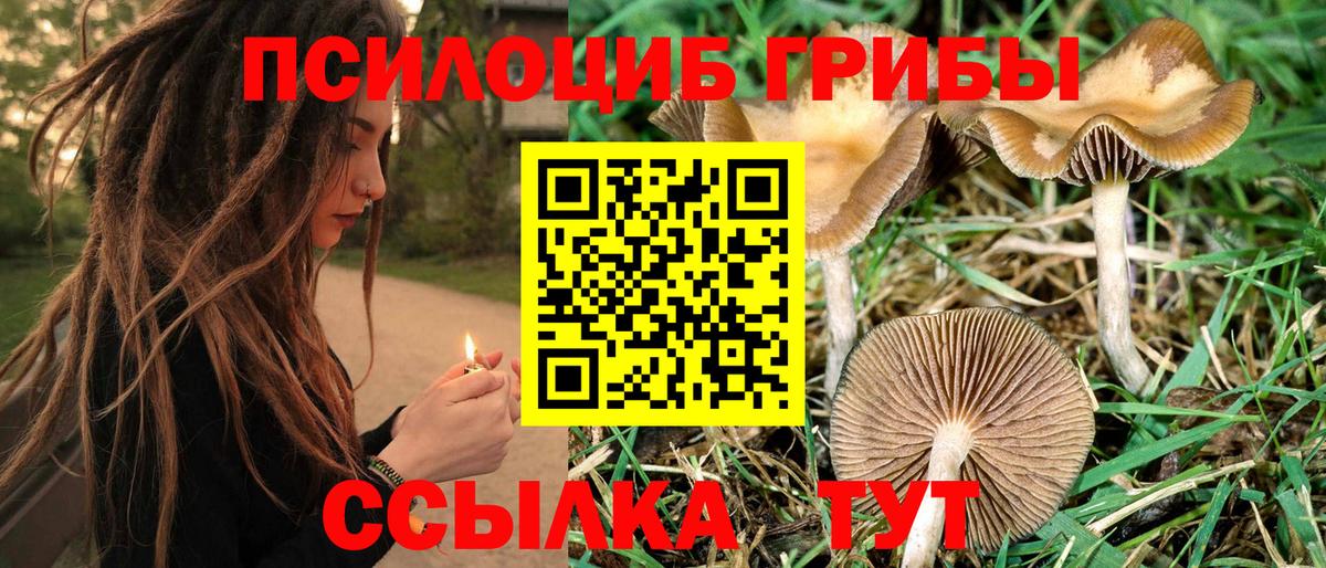 Псилоцибиновые грибы MAGIC MUSHROOMS Жигулёвск